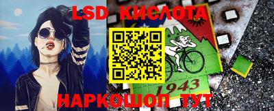 Альфа ПВП Славянск-на-Кубани